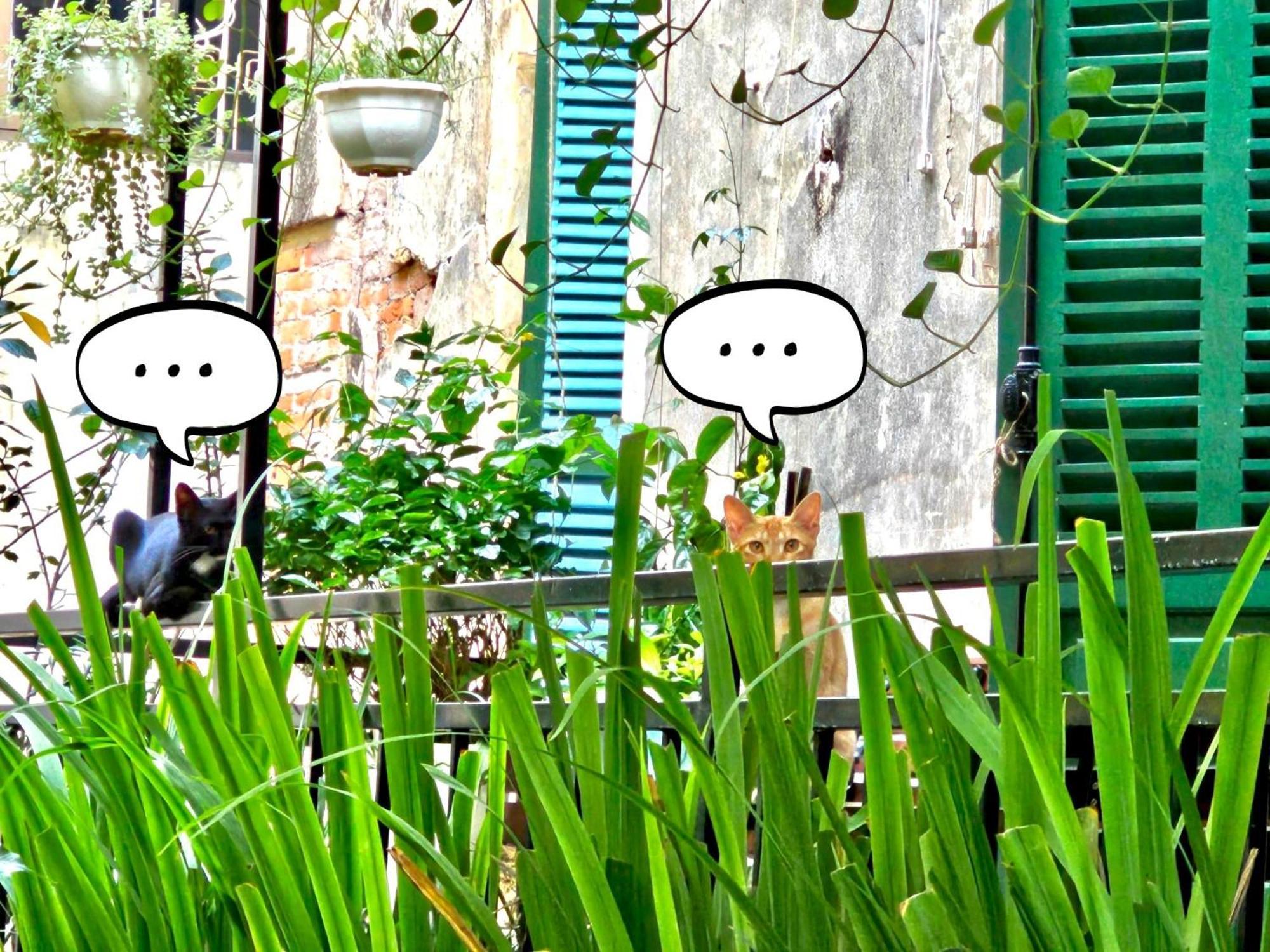 Azalea Apartment Hanoi Dış mekan fotoğraf