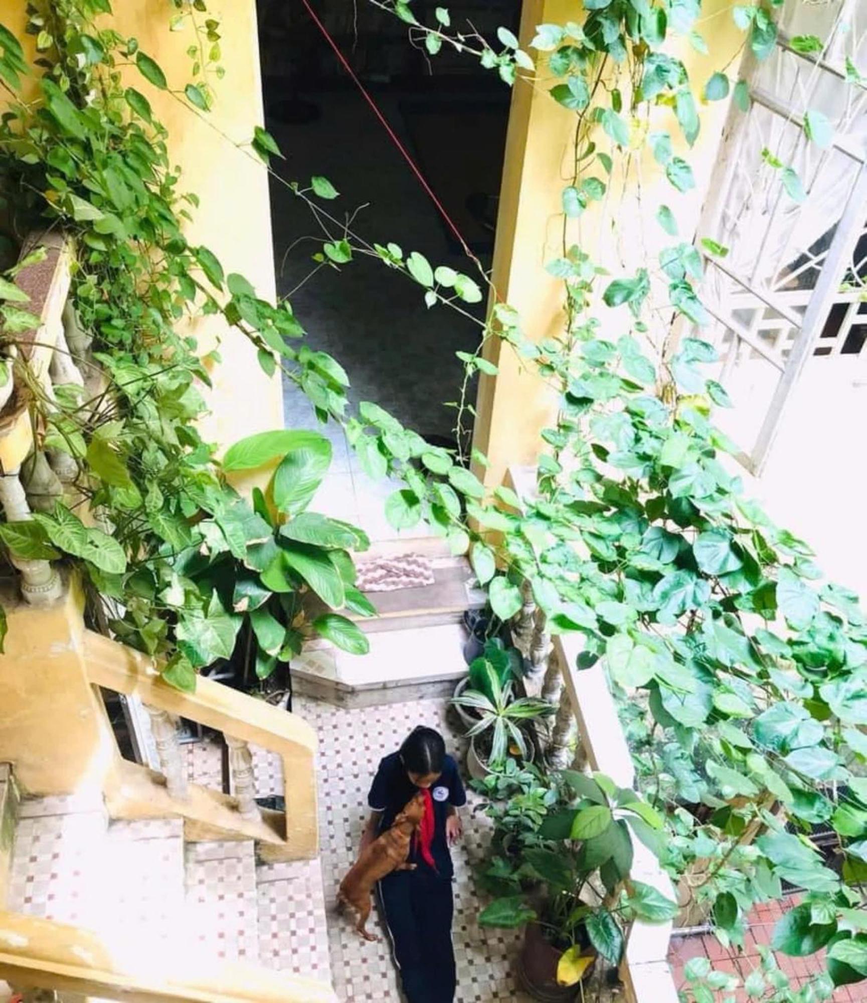 Azalea Apartment Hanoi Dış mekan fotoğraf