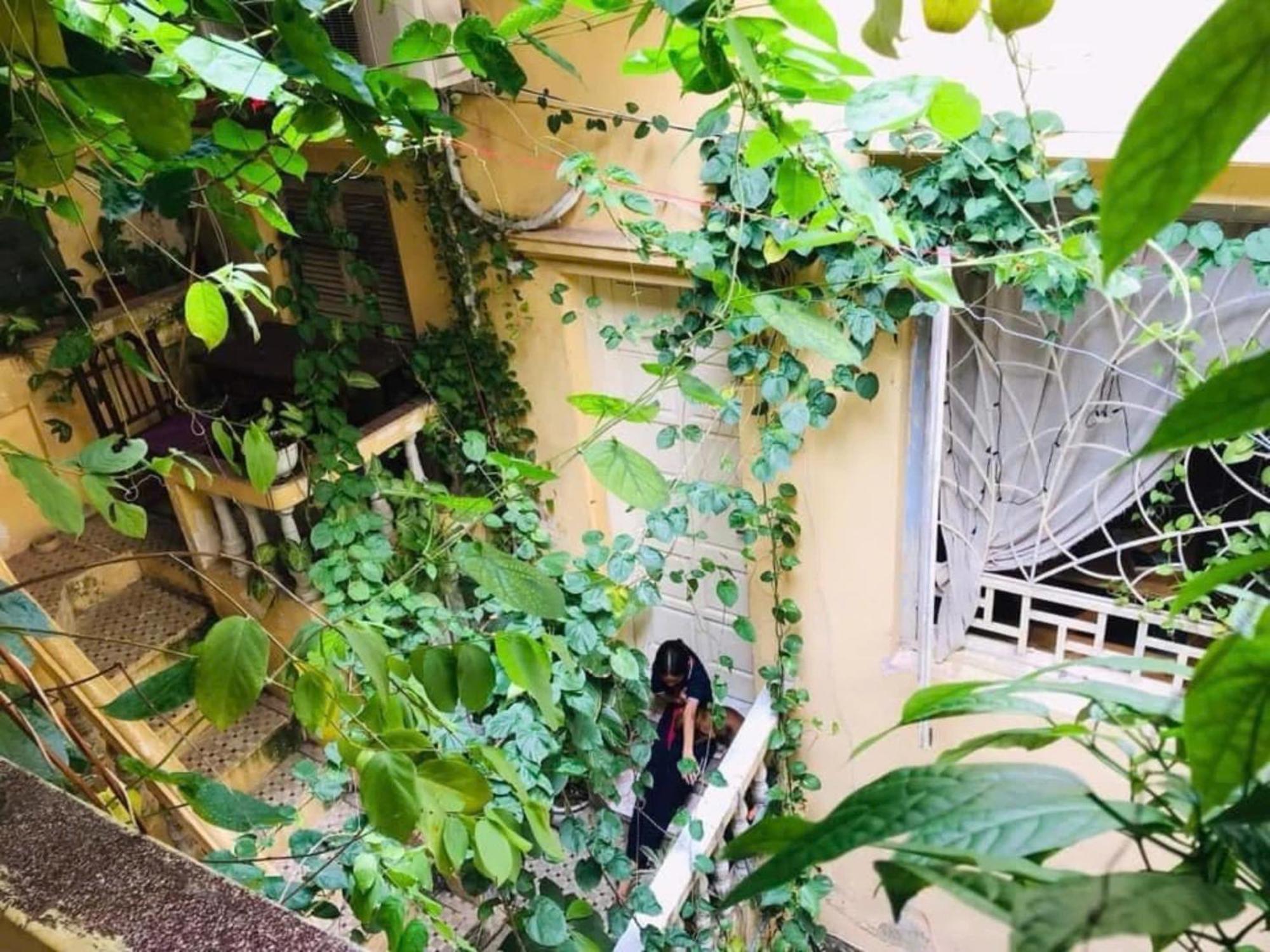 Azalea Apartment Hanoi Dış mekan fotoğraf
