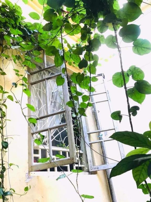 Azalea Apartment Hanoi Dış mekan fotoğraf