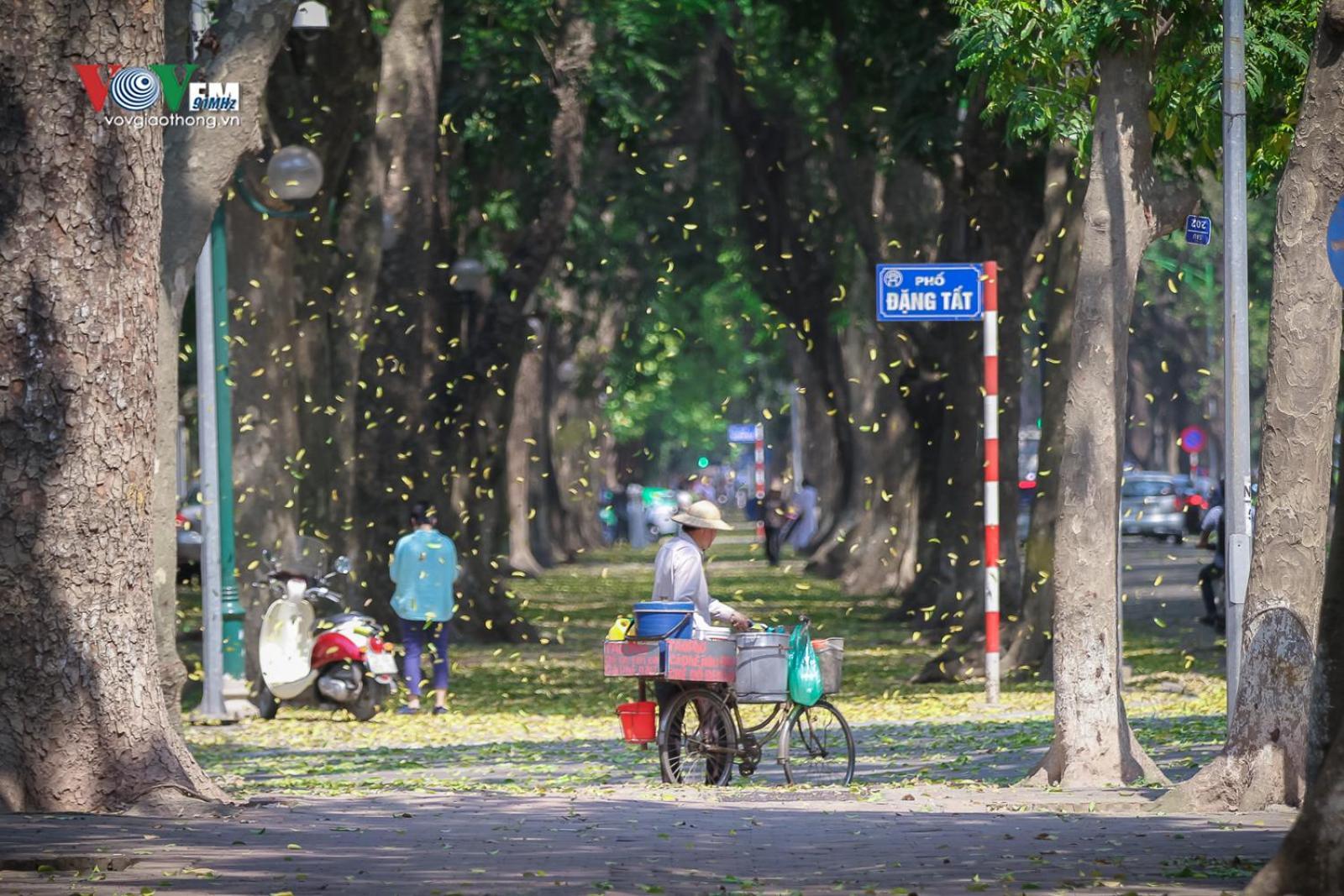 Azalea Apartment Hanoi Dış mekan fotoğraf